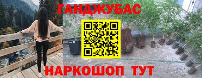дживик Будённовск