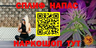 дживик Будённовск