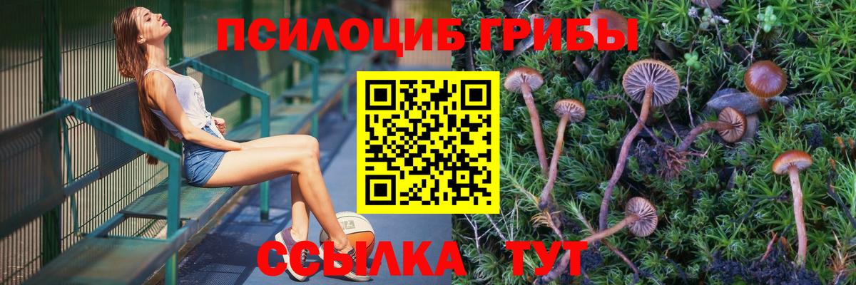 Галлюциногенные грибы MAGIC MUSHROOMS Саратов