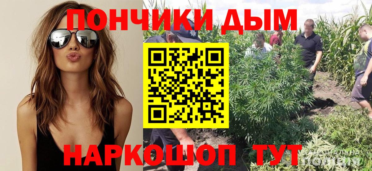 Саратов  Каннабис Amnesia  Марихуана семена  Вход с VPN  МАРИХУАНА семена 